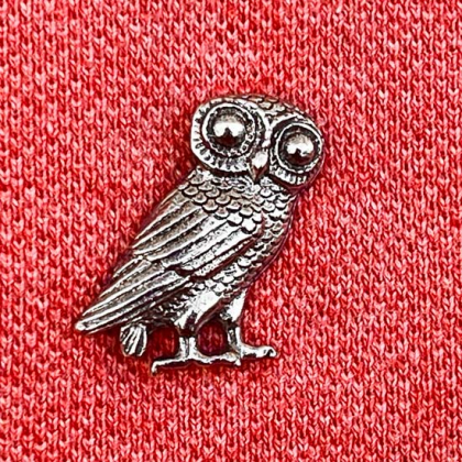 Pin Owl in the group Jewellery / Brooches and pins at Handfaste (2795)