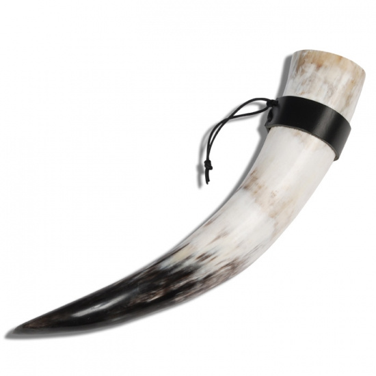 Drinking horn