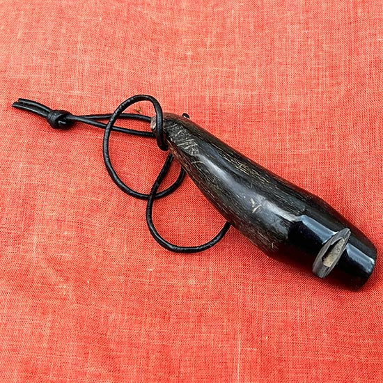 Visselpipa i horn