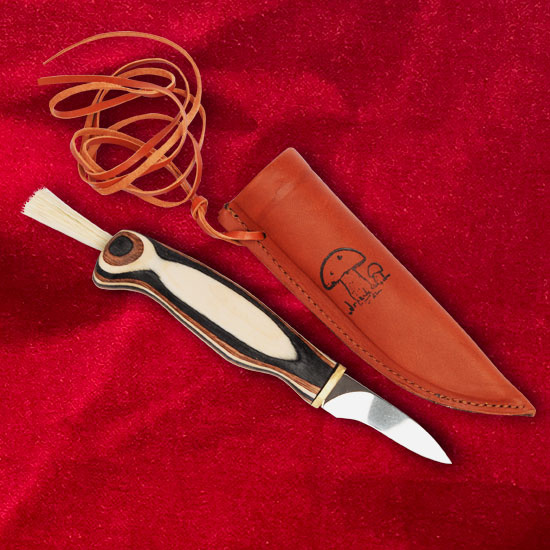 Mushroom knife  